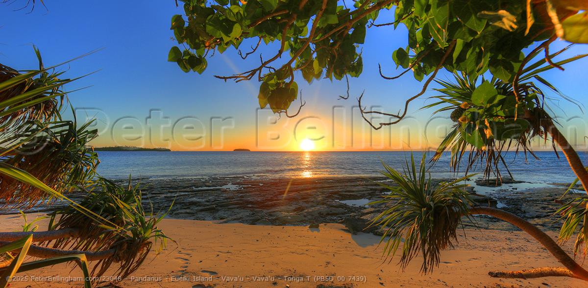 Peter Bellingham Photography Pandanus - Eueiki Island - Vava'u - Vava'u - Tonga T (PB5D 00 7439)